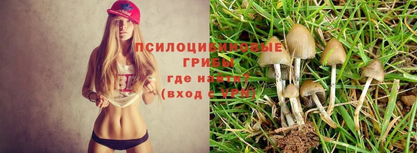 метамфетамин Каменск-Шахтинский