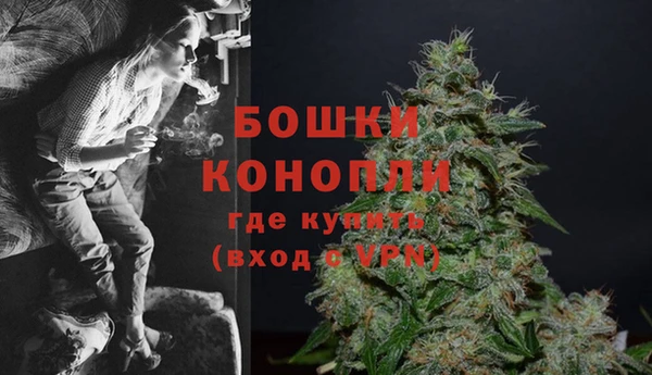 бошки Каменногорск