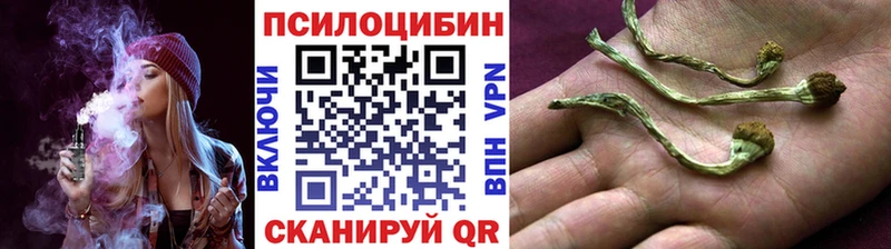 Галлюциногенные грибы прущие грибы  Купить  Белоярский 