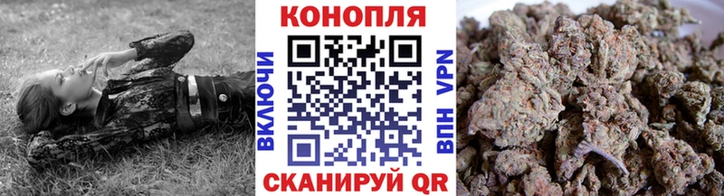 Каннабис сатива  Купить где  Белоярский 